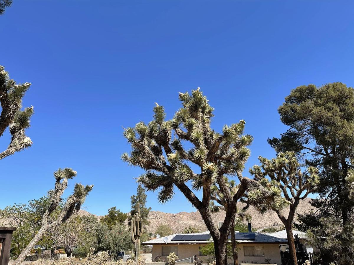 *New*King Beds*Bbq Grill*Fire-Pit*Hammock*Workplace Yucca Valley Exterior photo